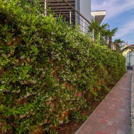 Vita, Luxury Apartments أوباتيا المظهر الخارجي الصورة